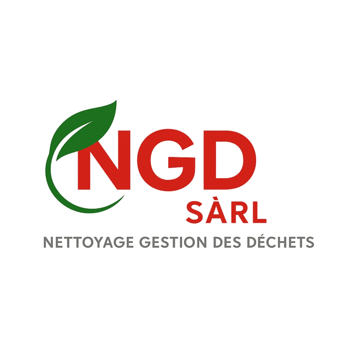NGD Logo
